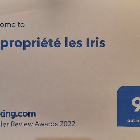 Апартаменты Copropriete Les Iris Сент-Этьен Экстерьер фото